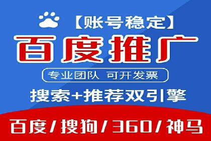 百度竞价排名服务：成功案例解析